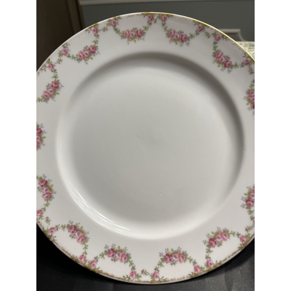 Limoges France Pink Floral Garland ‘Abbey’ Plate Luncheon Salad 9.5” Diameter
